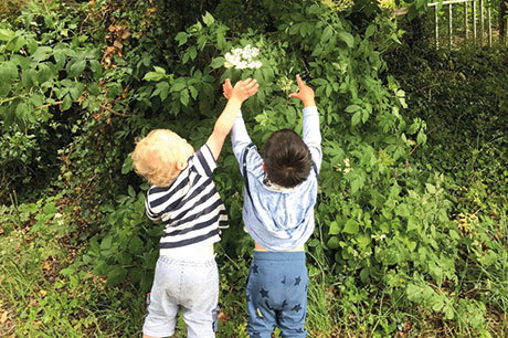 forage3