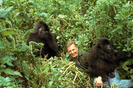john-sparks-and-naturepl