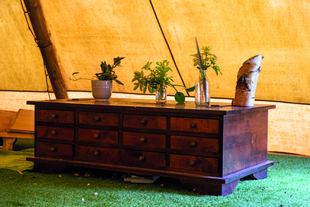 The nursery’s wunderkabinett is located in a tepee in its outdoor area